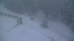 Přístup na běžeckou trať