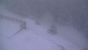 Sporthotel Kurzovní - Přístup na běžeckou trať - 1.1.2026 v 07:30 Sporthotel Kurzovní - Přístup na běžeckou trať - 1.1.2026 v 07:30