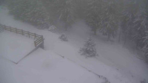 Sporthotel Kurzovní - Přístup na běžeckou trať - 1.1.2026 v 07:45 Sporthotel Kurzovní - Přístup na běžeckou trať - 1.1.2026 v 07:45