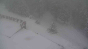 Sporthotel Kurzovní - Přístup na běžeckou trať - 1.1.2026 v 07:50 Sporthotel Kurzovní - Přístup na běžeckou trať - 1.1.2026 v 07:50