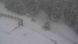 Sporthotel Kurzovní - Přístup na běžeckou trať - 1.1.2026 v 08:00 Sporthotel Kurzovní - Přístup na běžeckou trať - 1.1.2026 v 08:00