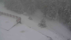 Přístup na běžeckou trať