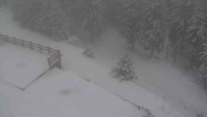 Sporthotel Kurzovní - Přístup na běžeckou trať - 1.1.2026 v 08:05 Sporthotel Kurzovní - Přístup na běžeckou trať - 1.1.2026 v 08:05