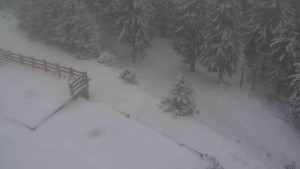 Sporthotel Kurzovní - Přístup na běžeckou trať - 1.1.2026 v 08:10 Sporthotel Kurzovní - Přístup na běžeckou trať - 1.1.2026 v 08:10