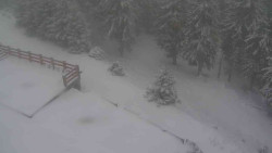 Přístup na běžeckou trať