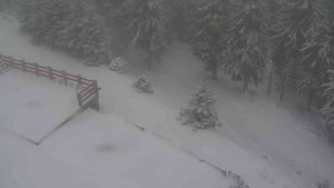 Sporthotel Kurzovní - Přístup na běžeckou trať - 1.1.2026 v 08:15 Sporthotel Kurzovní - Přístup na běžeckou trať - 1.1.2026 v 08:15