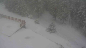 Sporthotel Kurzovní - Přístup na běžeckou trať - 1.1.2026 v 08:25 Sporthotel Kurzovní - Přístup na běžeckou trať - 1.1.2026 v 08:25