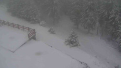 Přístup na běžeckou trať