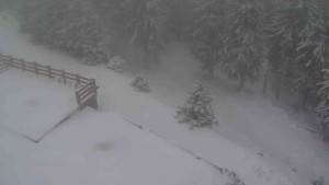 Sporthotel Kurzovní - Přístup na běžeckou trať - 1.1.2026 v 08:30 Sporthotel Kurzovní - Přístup na běžeckou trať - 1.1.2026 v 08:30