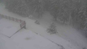 Sporthotel Kurzovní - Přístup na běžeckou trať - 1.1.2026 v 08:35 Sporthotel Kurzovní - Přístup na běžeckou trať - 1.1.2026 v 08:35