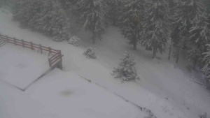 Sporthotel Kurzovní - Přístup na běžeckou trať - 1.1.2026 v 08:40 Sporthotel Kurzovní - Přístup na běžeckou trať - 1.1.2026 v 08:40