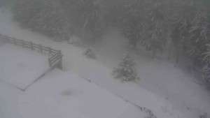 Sporthotel Kurzovní - Přístup na běžeckou trať - 1.1.2026 v 08:50 Sporthotel Kurzovní - Přístup na běžeckou trať - 1.1.2026 v 08:50