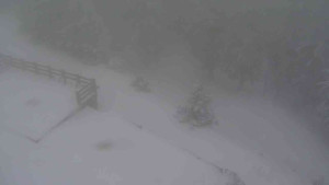 Sporthotel Kurzovní - Přístup na běžeckou trať - 1.1.2026 v 09:05 Sporthotel Kurzovní - Přístup na běžeckou trať - 1.1.2026 v 09:05