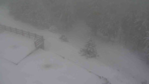 Sporthotel Kurzovní - Přístup na běžeckou trať - 1.1.2026 v 09:10 Sporthotel Kurzovní - Přístup na běžeckou trať - 1.1.2026 v 09:10