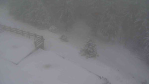 Sporthotel Kurzovní - Přístup na běžeckou trať - 1.1.2026 v 09:15 Sporthotel Kurzovní - Přístup na běžeckou trať - 1.1.2026 v 09:15