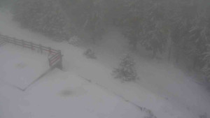 Sporthotel Kurzovní - Přístup na běžeckou trať - 1.1.2026 v 09:20 Sporthotel Kurzovní - Přístup na běžeckou trať - 1.1.2026 v 09:20