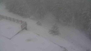 Sporthotel Kurzovní - Přístup na běžeckou trať - 1.1.2026 v 09:35 Sporthotel Kurzovní - Přístup na běžeckou trať - 1.1.2026 v 09:35