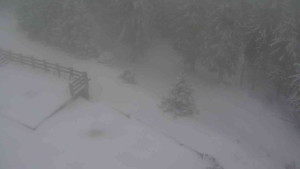 Sporthotel Kurzovní - Přístup na běžeckou trať - 1.1.2026 v 09:40 Sporthotel Kurzovní - Přístup na běžeckou trať - 1.1.2026 v 09:40