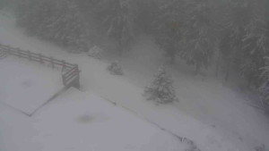 Sporthotel Kurzovní - Přístup na běžeckou trať - 1.1.2026 v 09:45 Sporthotel Kurzovní - Přístup na běžeckou trať - 1.1.2026 v 09:45