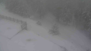 Sporthotel Kurzovní - Přístup na běžeckou trať - 1.1.2026 v 09:50 Sporthotel Kurzovní - Přístup na běžeckou trať - 1.1.2026 v 09:50