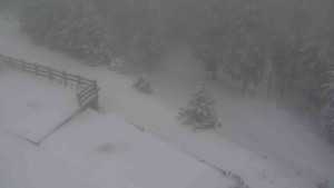 Sporthotel Kurzovní - Přístup na běžeckou trať - 1.1.2026 v 10:00 Sporthotel Kurzovní - Přístup na běžeckou trať - 1.1.2026 v 10:00