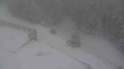 Přístup na běžeckou trať