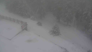 Sporthotel Kurzovní - Přístup na běžeckou trať - 1.1.2026 v 10:10 Sporthotel Kurzovní - Přístup na běžeckou trať - 1.1.2026 v 10:10