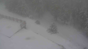 Sporthotel Kurzovní - Přístup na běžeckou trať - 1.1.2026 v 10:25 Sporthotel Kurzovní - Přístup na běžeckou trať - 1.1.2026 v 10:25