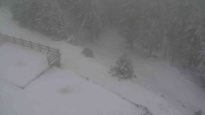 Sporthotel Kurzovní - Přístup na běžeckou trať - 1.1.2026 v 10:30 Sporthotel Kurzovní - Přístup na běžeckou trať - 1.1.2026 v 10:30