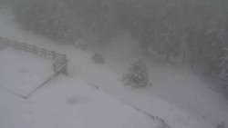 Přístup na běžeckou trať