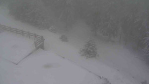 Sporthotel Kurzovní - Přístup na běžeckou trať - 1.1.2026 v 10:35 Sporthotel Kurzovní - Přístup na běžeckou trať - 1.1.2026 v 10:35