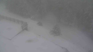 Sporthotel Kurzovní - Přístup na běžeckou trať - 1.1.2026 v 10:40 Sporthotel Kurzovní - Přístup na běžeckou trať - 1.1.2026 v 10:40