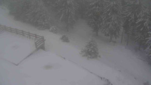 Sporthotel Kurzovní - Přístup na běžeckou trať - 1.1.2026 v 10:45 Sporthotel Kurzovní - Přístup na běžeckou trať - 1.1.2026 v 10:45