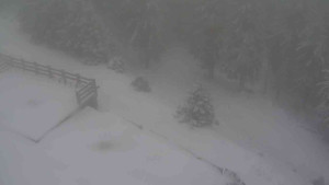 Sporthotel Kurzovní - Přístup na běžeckou trať - 1.1.2026 v 10:50 Sporthotel Kurzovní - Přístup na běžeckou trať - 1.1.2026 v 10:50