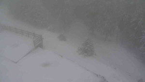 Sporthotel Kurzovní - Přístup na běžeckou trať - 1.1.2026 v 11:00 Sporthotel Kurzovní - Přístup na běžeckou trať - 1.1.2026 v 11:00