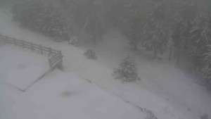 Sporthotel Kurzovní - Přístup na běžeckou trať - 1.1.2026 v 11:05 Sporthotel Kurzovní - Přístup na běžeckou trať - 1.1.2026 v 11:05