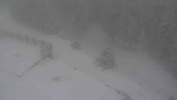 Přístup na běžeckou trať