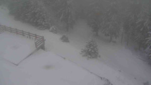 Sporthotel Kurzovní - Přístup na běžeckou trať - 1.1.2026 v 11:15 Sporthotel Kurzovní - Přístup na běžeckou trať - 1.1.2026 v 11:15