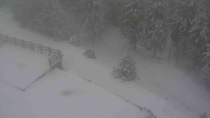 Sporthotel Kurzovní - Přístup na běžeckou trať - 1.1.2026 v 11:20 Sporthotel Kurzovní - Přístup na běžeckou trať - 1.1.2026 v 11:20