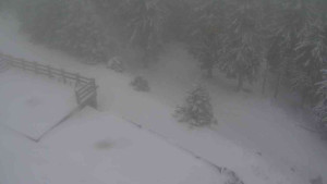 Sporthotel Kurzovní - Přístup na běžeckou trať - 1.1.2026 v 11:25 Sporthotel Kurzovní - Přístup na běžeckou trať - 1.1.2026 v 11:25