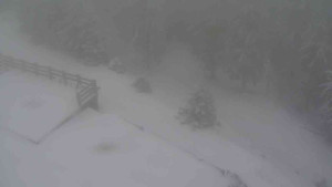 Sporthotel Kurzovní - Přístup na běžeckou trať - 1.1.2026 v 11:30 Sporthotel Kurzovní - Přístup na běžeckou trať - 1.1.2026 v 11:30