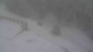 Sporthotel Kurzovní - Přístup na běžeckou trať - 1.1.2026 v 11:35 Sporthotel Kurzovní - Přístup na běžeckou trať - 1.1.2026 v 11:35