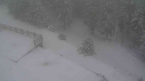 Sporthotel Kurzovní - Přístup na běžeckou trať - 1.1.2026 v 11:40 Sporthotel Kurzovní - Přístup na běžeckou trať - 1.1.2026 v 11:40