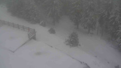 Přístup na běžeckou trať