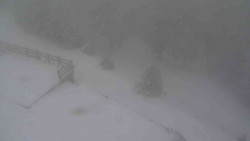 Přístup na běžeckou trať