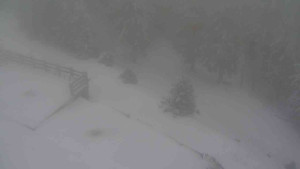 Sporthotel Kurzovní - Přístup na běžeckou trať - 1.1.2026 v 12:10 Sporthotel Kurzovní - Přístup na běžeckou trať - 1.1.2026 v 12:10