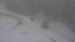 Přístup na běžeckou trať