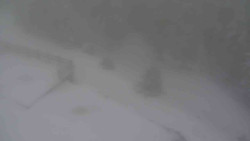 Přístup na běžeckou trať