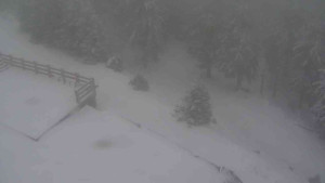 Sporthotel Kurzovní - Přístup na běžeckou trať - 1.1.2026 v 12:25 Sporthotel Kurzovní - Přístup na běžeckou trať - 1.1.2026 v 12:25