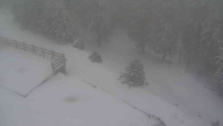 Přístup na běžeckou trať